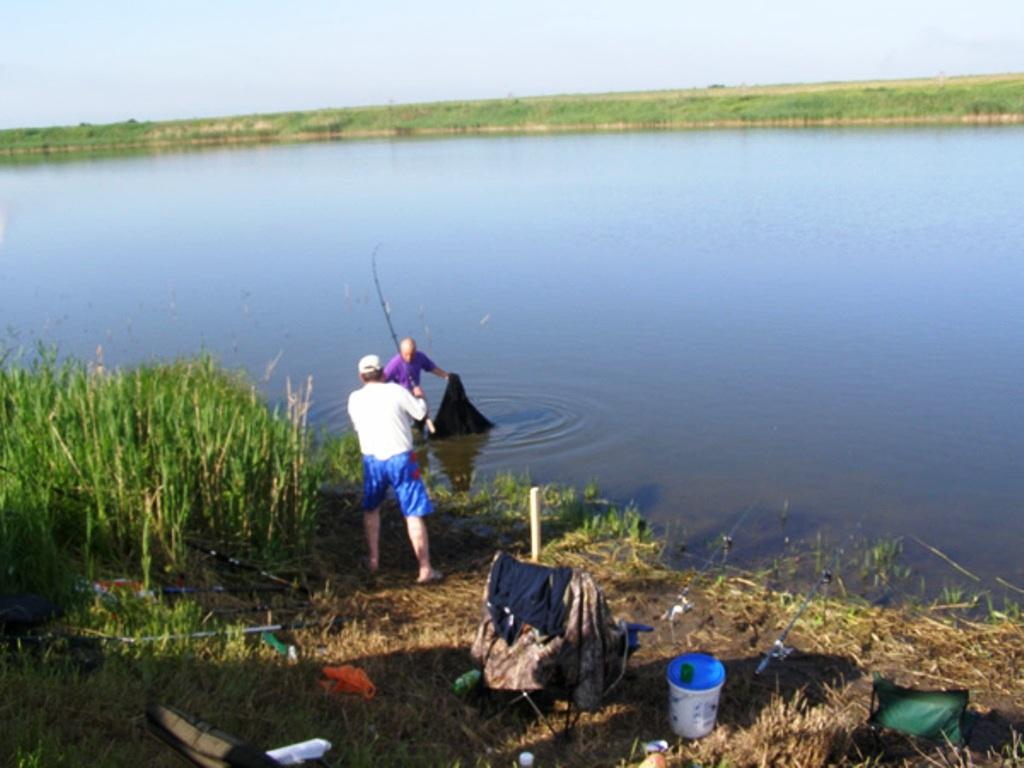 diverse - p5245244.jpg